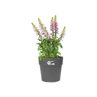 vibia straight rond 25cm anthracite